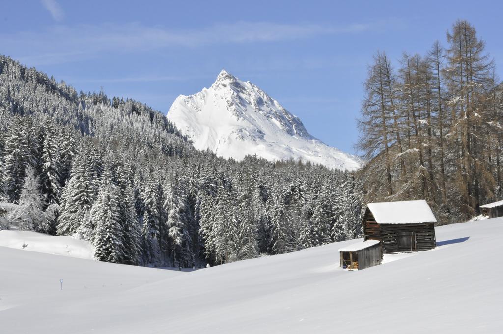 Appartement Saffretta *